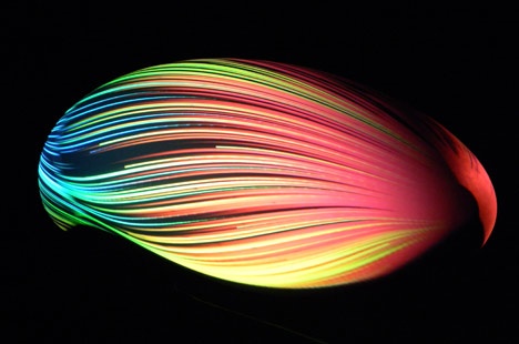 Futuristic Primitivism/Instinctive Override by Ross Lovegrove