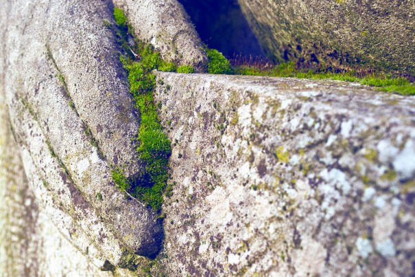 DIARY © Bertrand Vanden Elsacker