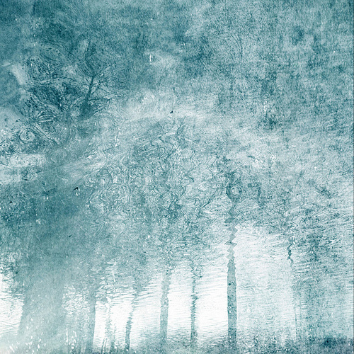 Joanna Sanderson-Mann