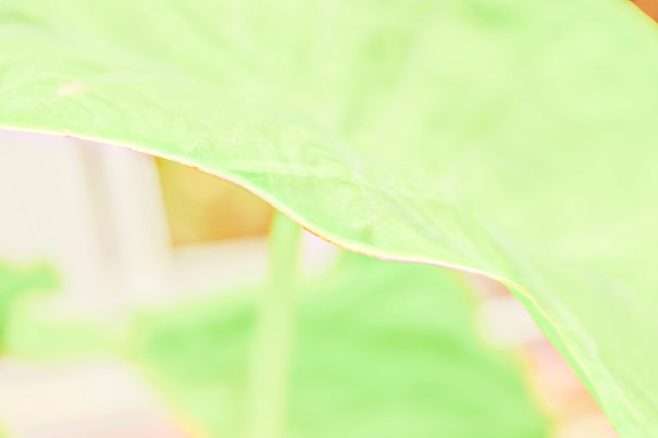 Bertrand Vanden Elsacker via Disoriented