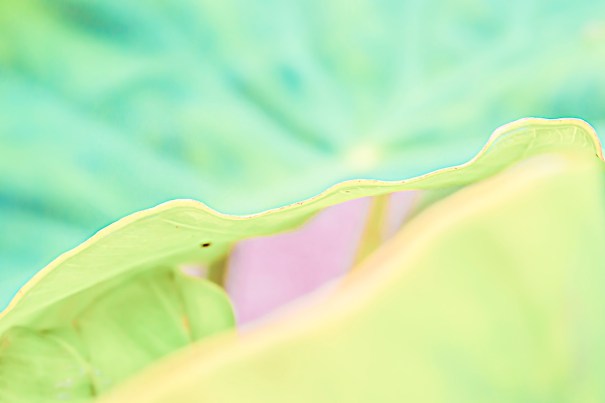 Bertrand Vanden Elsacker via Disoriented