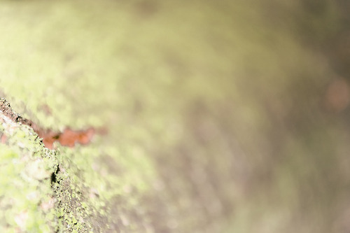 Brussels august 2014