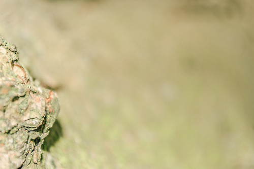 August 2014, Brussels, bvde