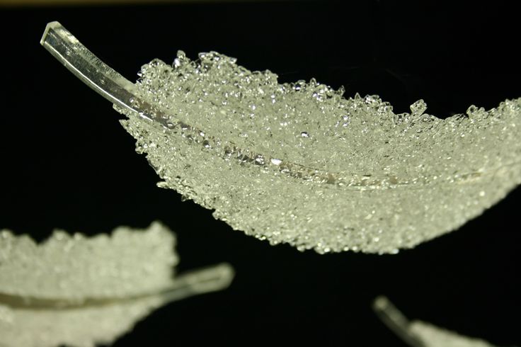 Suzanne Dekker "Hope"