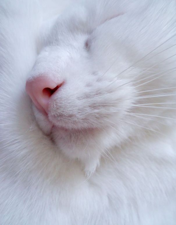 peace par Terri Croghan sur Fivehundredpx Trouvé sur 500px.com Fivehundredpx