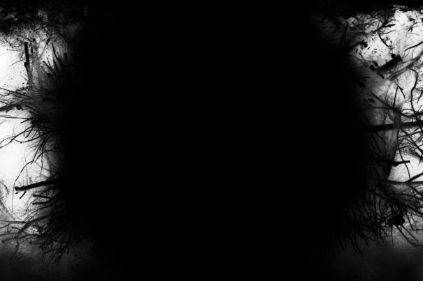 tumblr_nu3ulc7mS51ubcbi3o5_1280-2