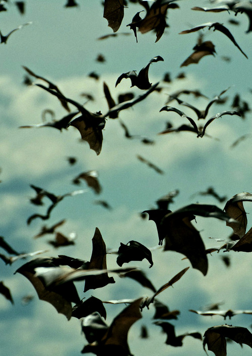 tumblr_mk5pjrXzA81qgu7bjo1_500