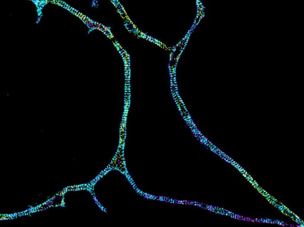 tumblr_ntl6ugwAQG1rvcmm7o1_1280