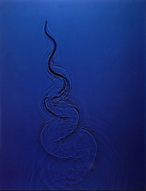 tumblr_mrtnwvtoyw1qf91zfo1_500