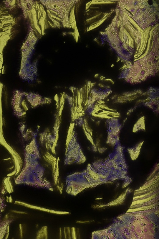 tumblr_nunyo0jzNr1rnlhuxo1_540