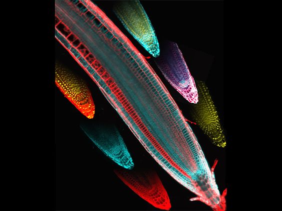 989dde2faeb54a5ce7431f2fef77f796