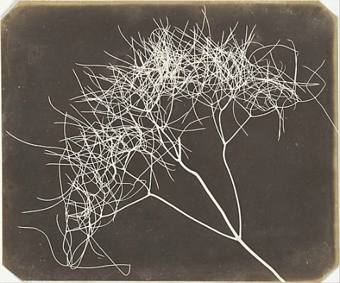 fa5130f694cd7324331f98e5ab236165