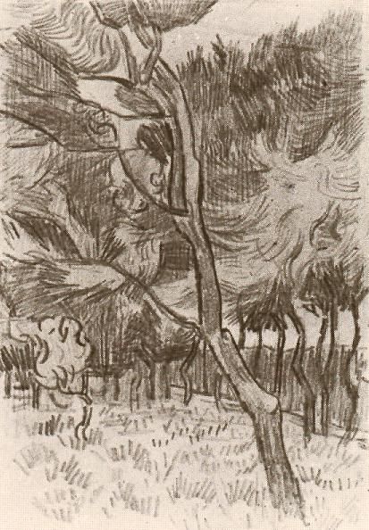 Vincent van Gogh: Pine Trees in the Garden of the Asylum Saint-Rémy: 5-22 October 1889 (Amsterdam, Van Gogh Museum) 