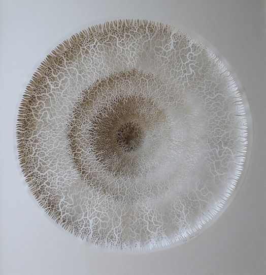 677f718ca03328f66d309d6bfaff84bd