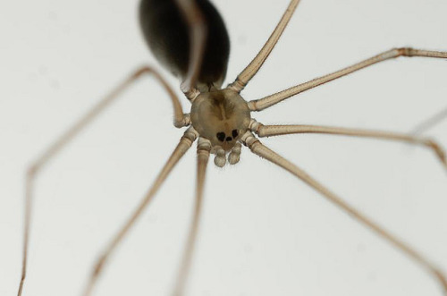 tumblr_mwxmr9bcls1rfa1qyo1_500