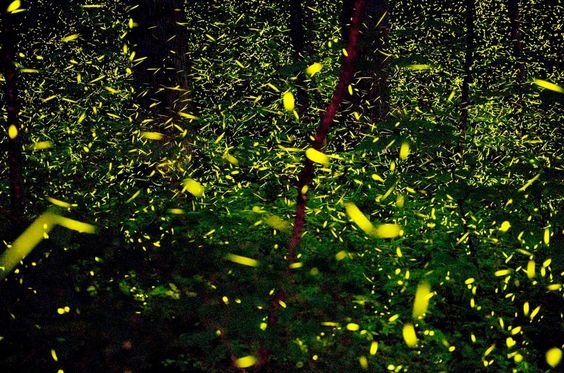 414a1afd704ed769874f9b1b45531a84