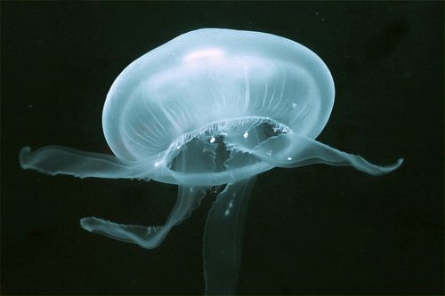 476f1e2eddbfa9b9e9099d2721db01bb