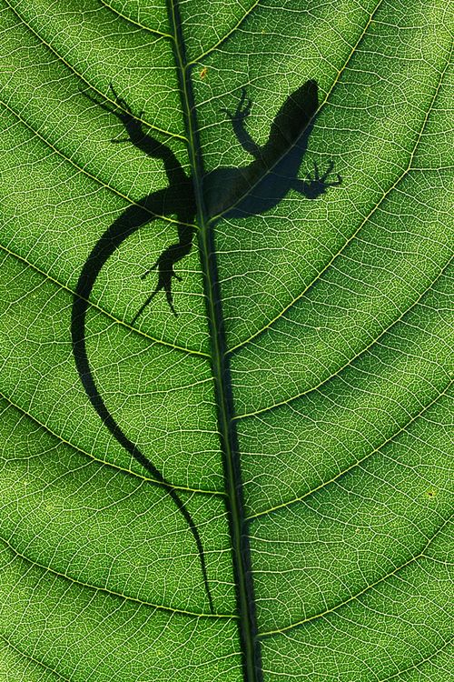 ecb96a34512cd361c6a5b7e94033342c