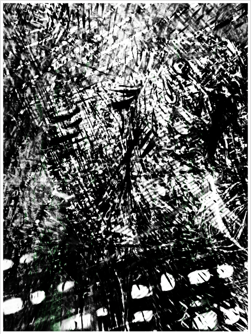 tumblr_oqyyw3pa8n1v6jft8o5_500