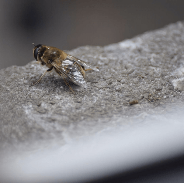 Capture d_écran 2017-07-12 à 13.36.18
