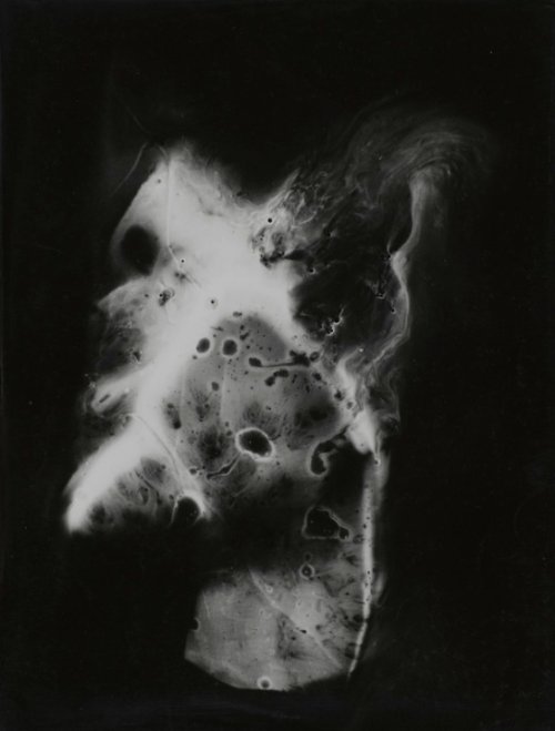 tumblr_mgby47MHsf1r1w31so1_500