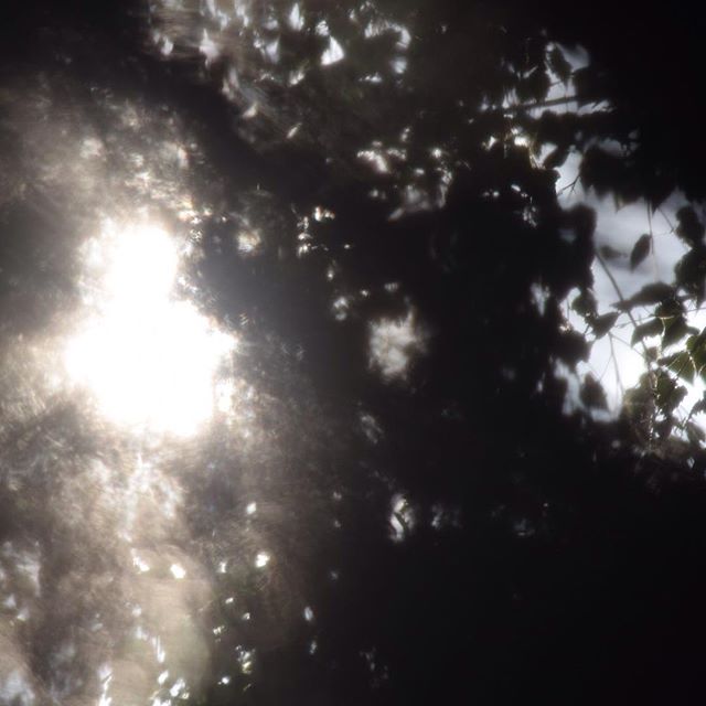 22580839_365743127172978_580089552991944704_n