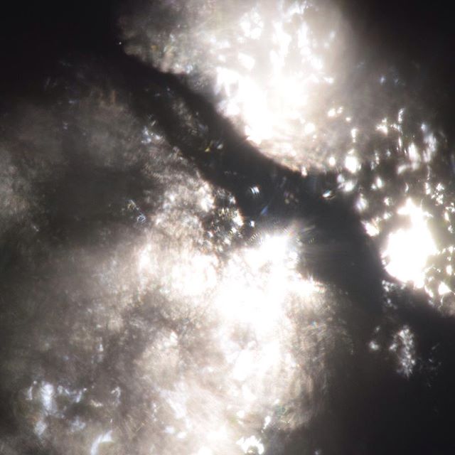 22580942_1996214707289318_6273160912492822528_n_002