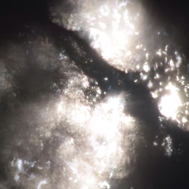 22580942_1996214707289318_6273160912492822528_n_002