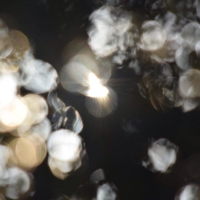 22581921_355774171531319_5413429208544182272_n