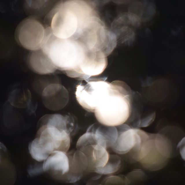 22582193_1913582775546838_4298338321341349888_n