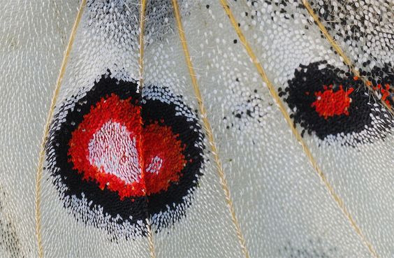 be8fea0100a8c0021fa4147b25abe19e