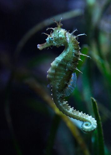 eff1412061fcda3ce66d38157ddc5293