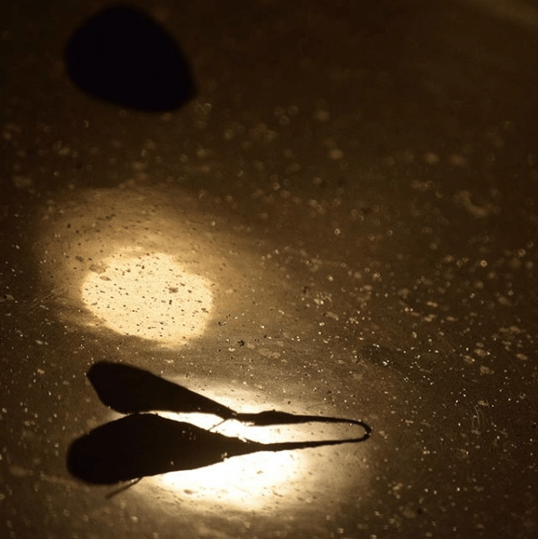 tumblr_oy57zmKNZO1v6jft8o3_1280