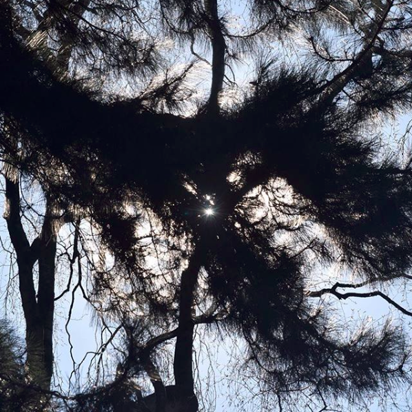 Capture d_écran 2018-03-03 à 14.48.07