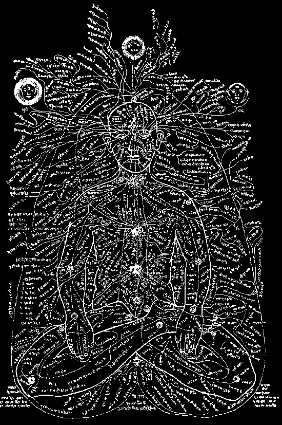 tumblr_l93bsi73Si1qzn4kzo1_1280