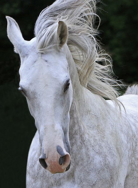 ad3acc69644ed7b59b0ebdd7d9e262af