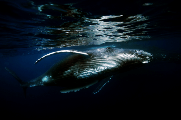 Capture d_écran 2018-04-03 à 15.10.08