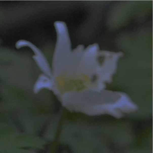 Capture d_écran 2018-04-11 à 10.54.58