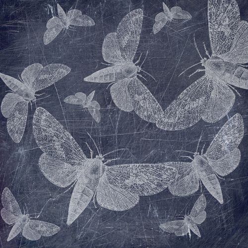 d91885f637559cba9b38a1fe196ce5a5