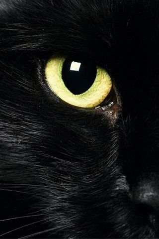 1c05e6daed3e8c2cc920908c30fda2a9