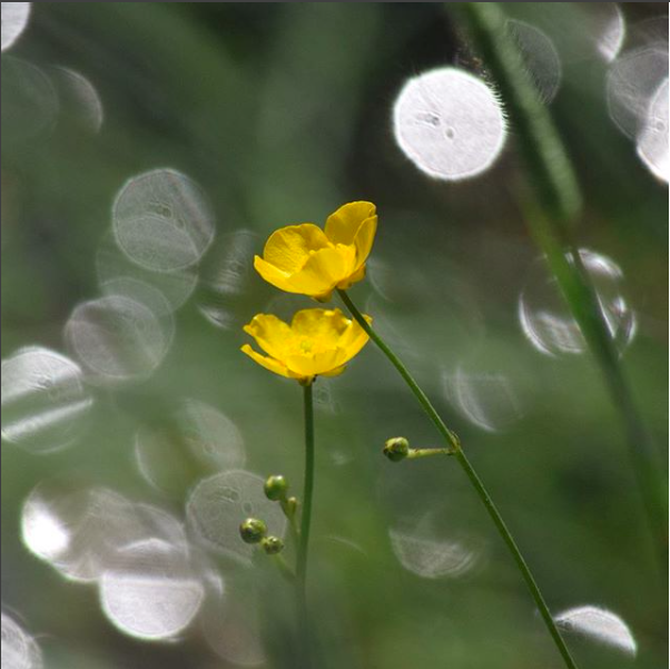 Capture d_écran 2018-06-20 à 15.09.15