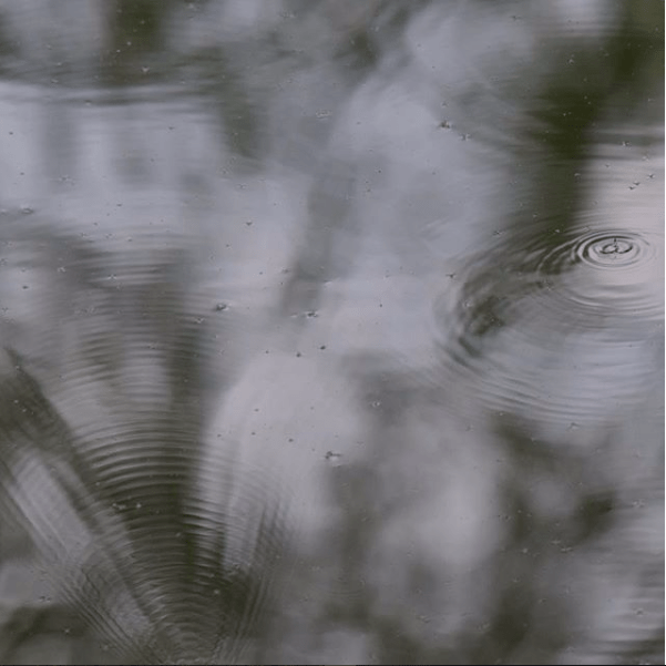 Capture d_écran 2018-06-29 à 12.24.39