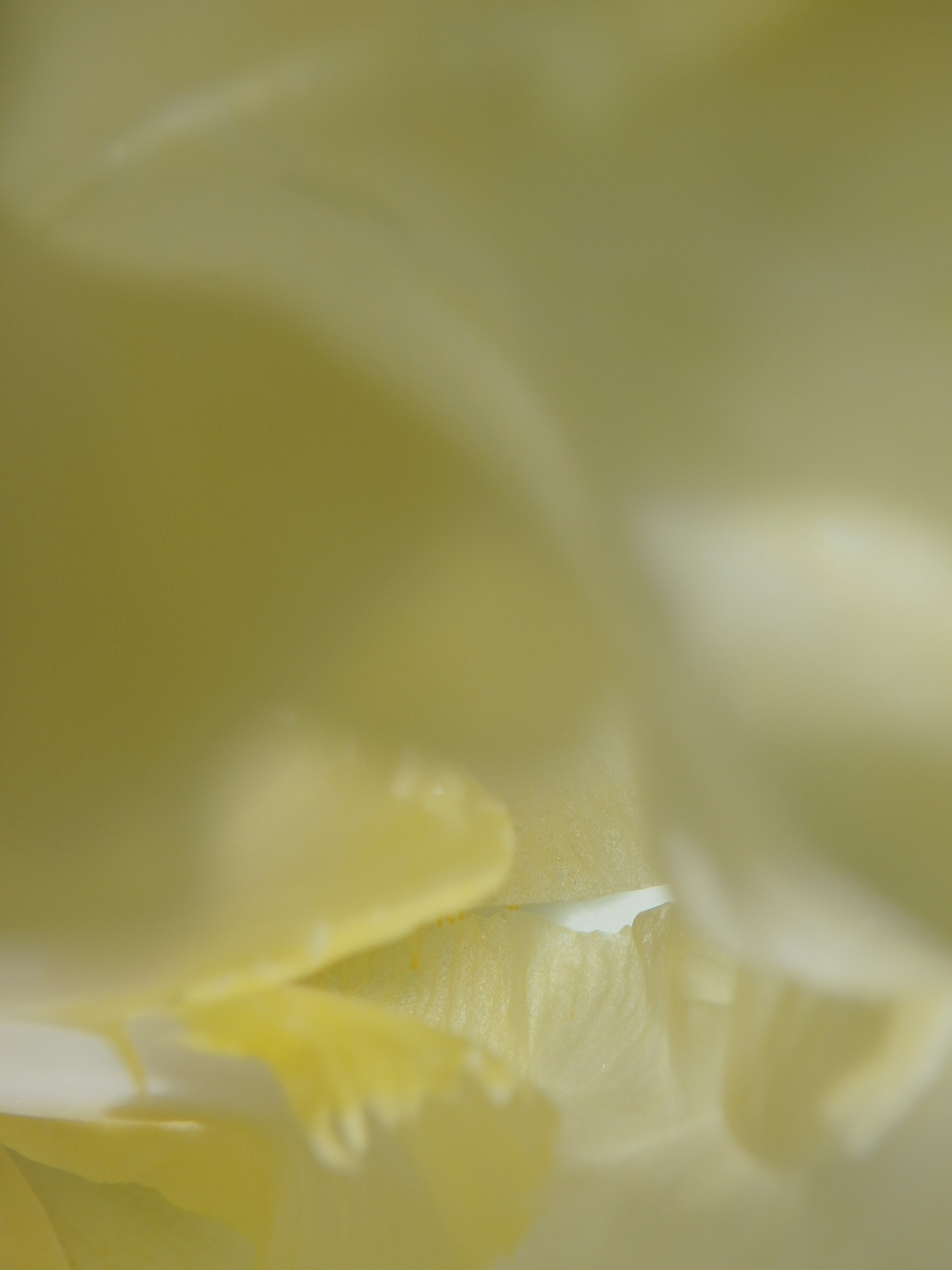 tumblr_oxihyw1y8b1qlwuczo1_1280