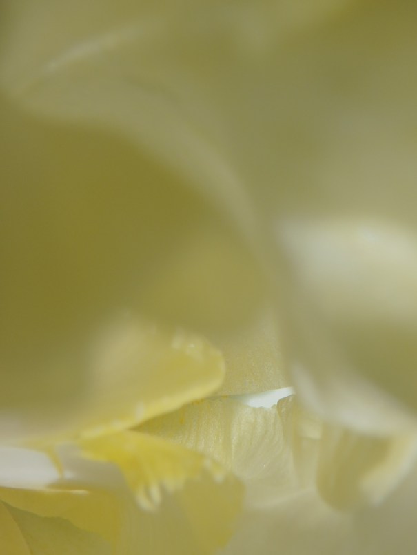 tumblr_oxihyw1y8b1qlwuczo1_1280